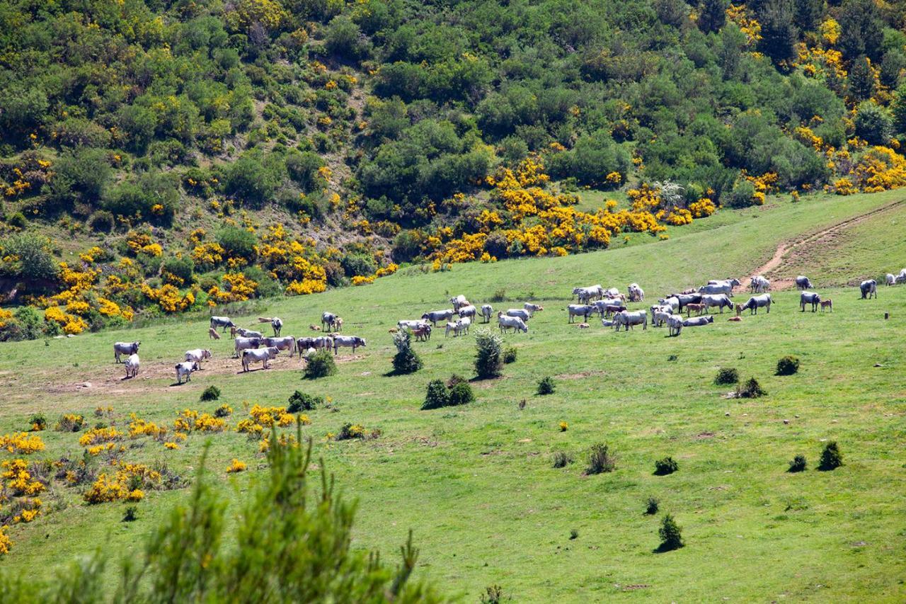 Casa Rural La Majada De Penacorada Fuentes de Peñacorada Buitenkant foto
